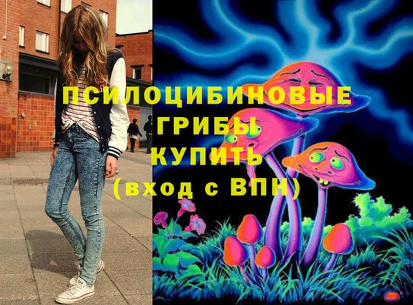 прущий лед Вязьма