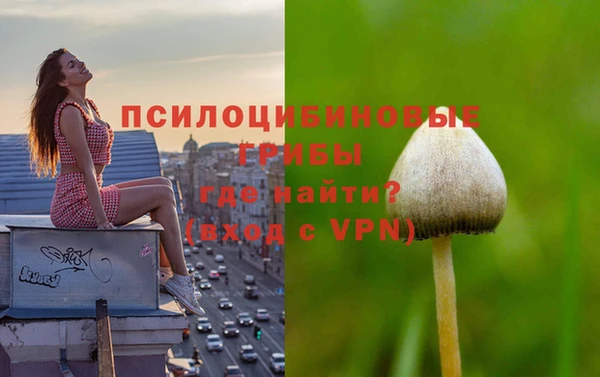 бутират Вяземский