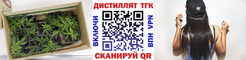 где найти Талица ТГК THC oil