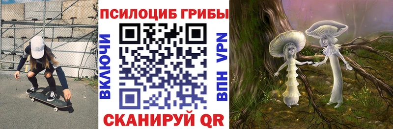 Псилоцибиновые грибы прущие грибы  магазин продажи наркотиков  Талица 
