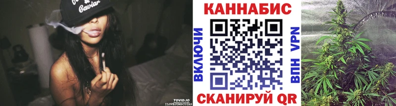 Бошки марихуана Amnesia  как найти   Талица 
